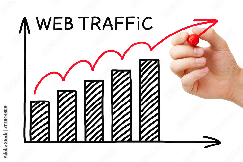 Obraz premium Web Traffic Graph Concept
