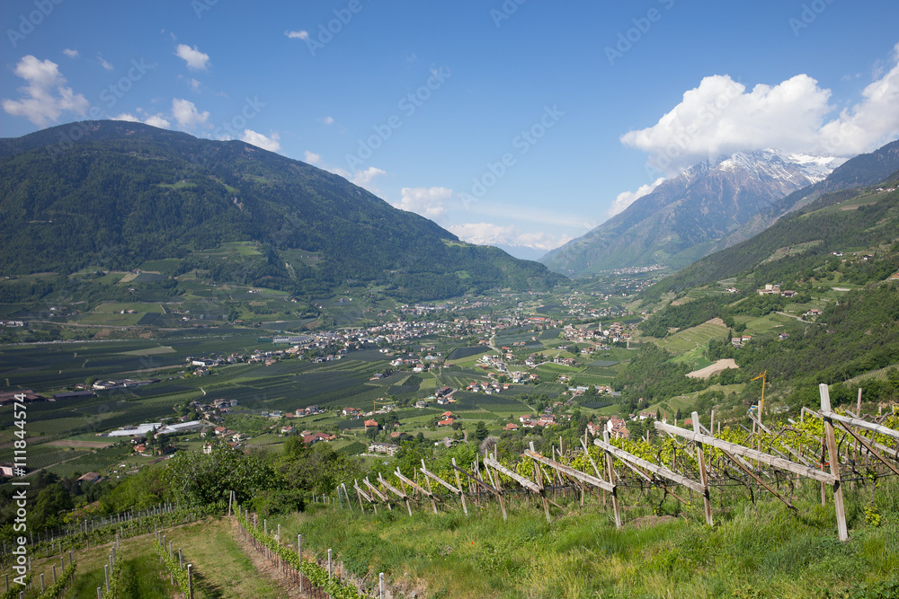 Blick von Dorf Tirol in den Vinschgau | Südtirol