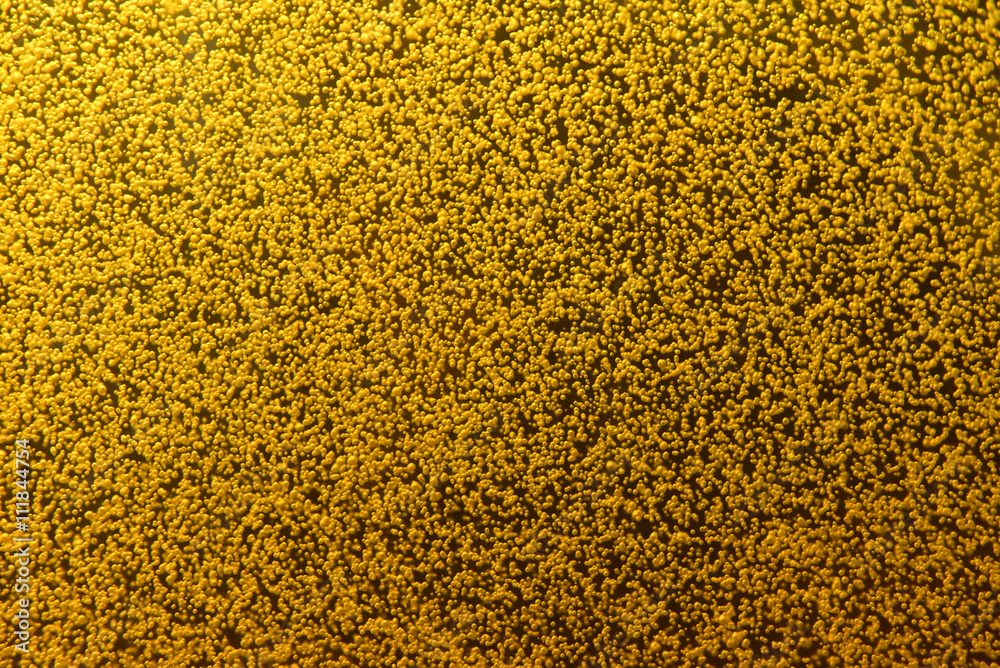 The air bubbles floating in a beer The air bubbles floating in a beer