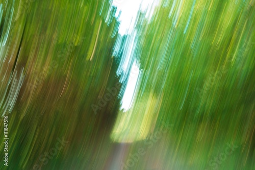 Artistic abstract background with forest