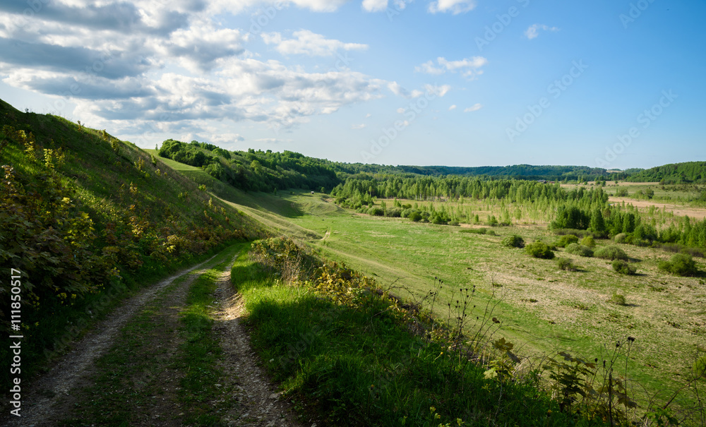 Obraz premium bend the road in middle green hills