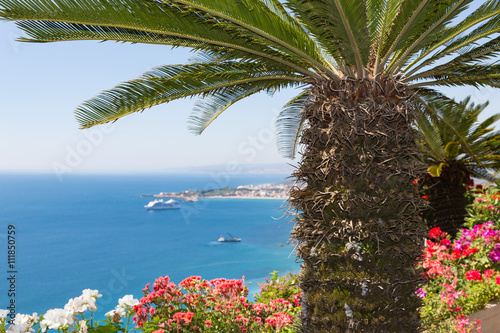 Palm tree and geranium flowers with seascape at Sicily
