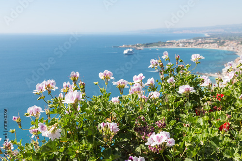 Fototapeta Naklejka Na Ścianę i Meble -  Geranium flowers with seascape at Sicily