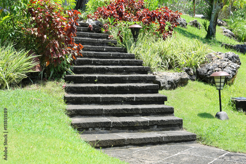 Steps leading to garden