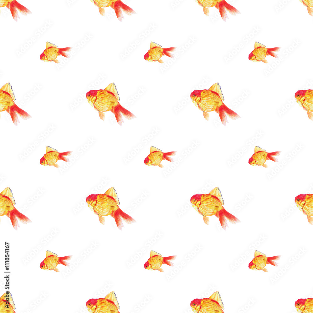 Colored pencil drawing of goldfish, seamless pattern