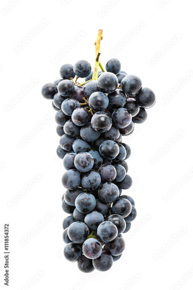 Grape Grape