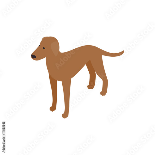 Ridgeback dog icon, isometric 3d style