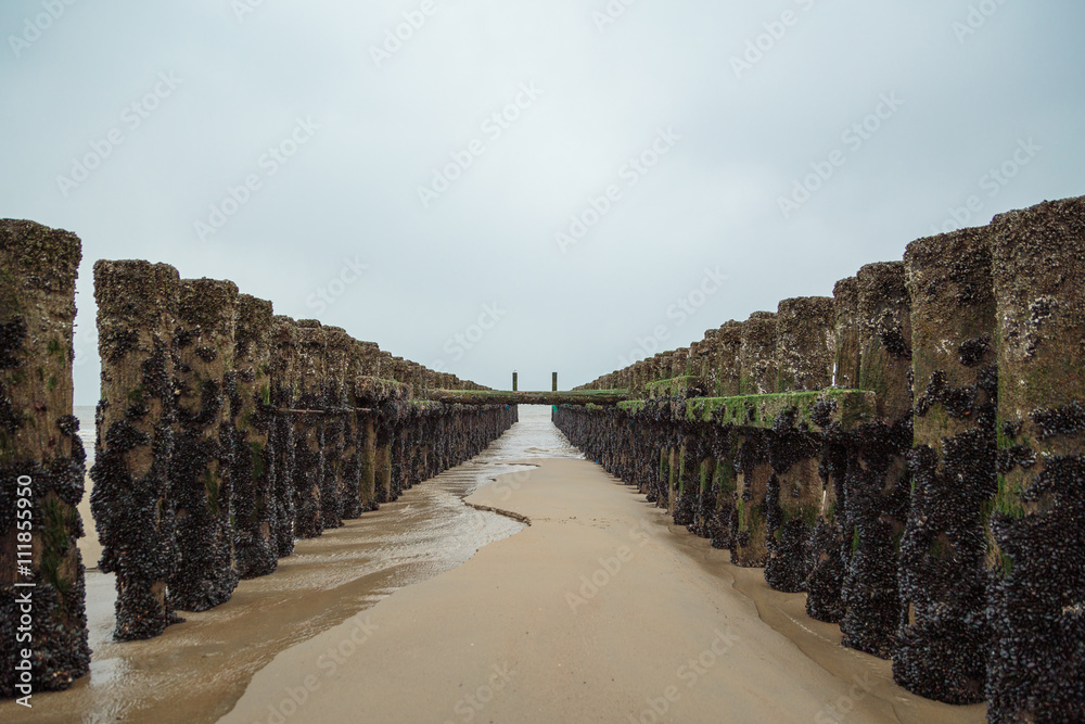 Fototapeta premium Spur dyke at Domburg Beach / Netherlands