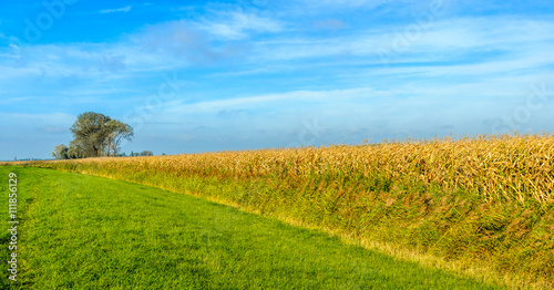 Colorful Dutch rural landscape in autumn