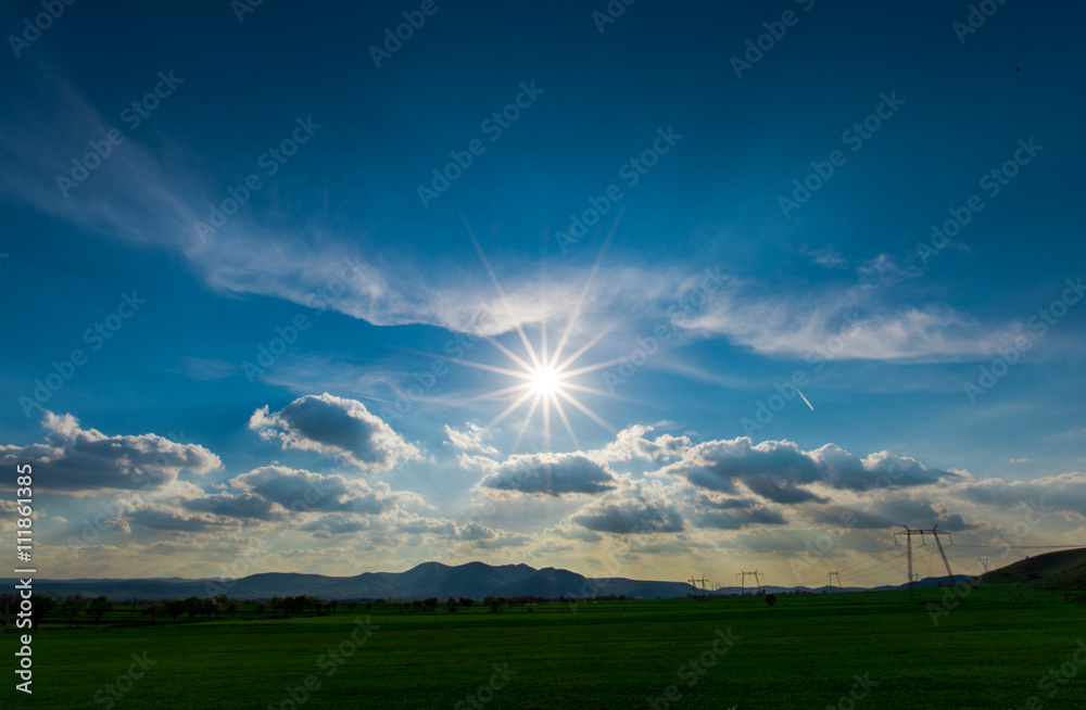 Obraz premium grass field and blue sky