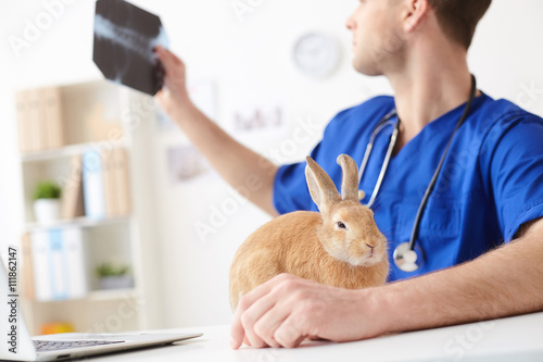 Cheerful young vet examining health of pet