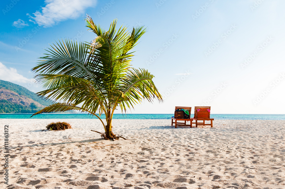 Obraz premium Coconut tree and 2 beach chair in a sunny blue sky day. A luxury
