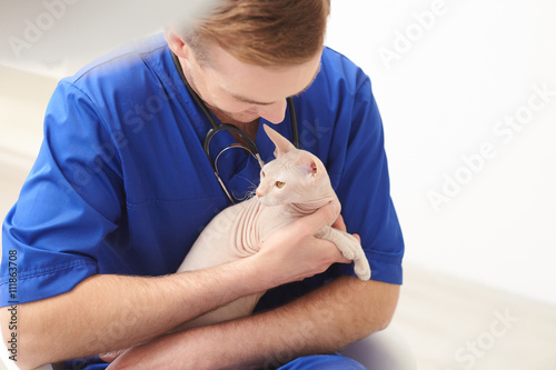 Skillful male veterinarian doing checkup of animal