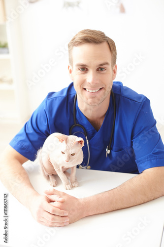 Professional male veterinarian is working with pet