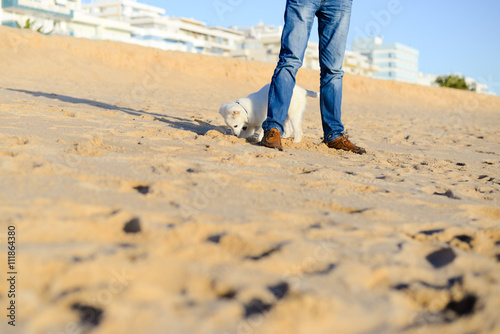 Dog and owner together at the beach on summer vacation holidays