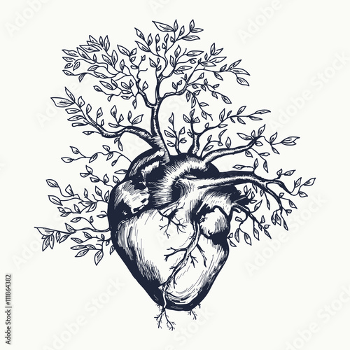 Anatomical human heart from which the tree grows