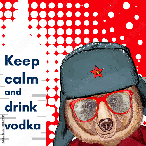 Bear in hat, keep calm and drink vodka poster, alcohol poster
