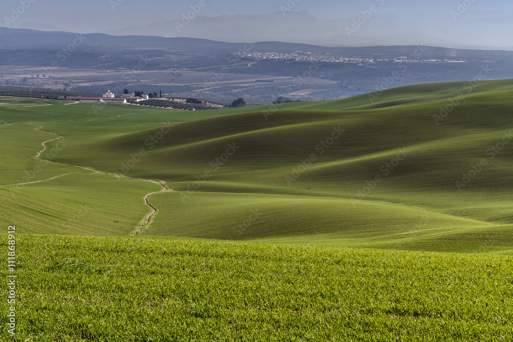 Fototapeta premium Mountainous landscape of green grass during spring, Andalucia, S