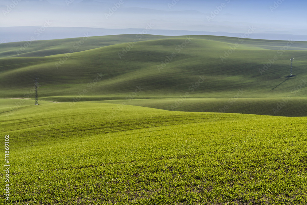 Fototapeta premium Mountainous landscape of green grass during spring, Andalucia, S