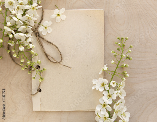 Open sketchbook with white bird-cherry