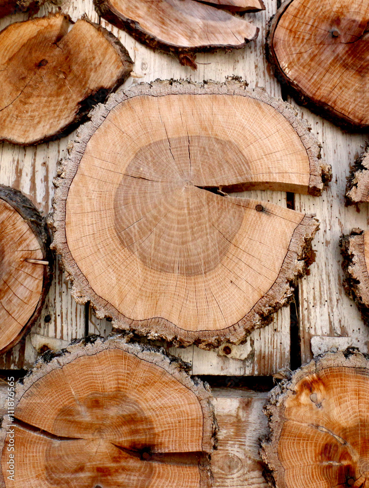 Naklejka premium fire wood background texture. closeup of chopped fire wood stack