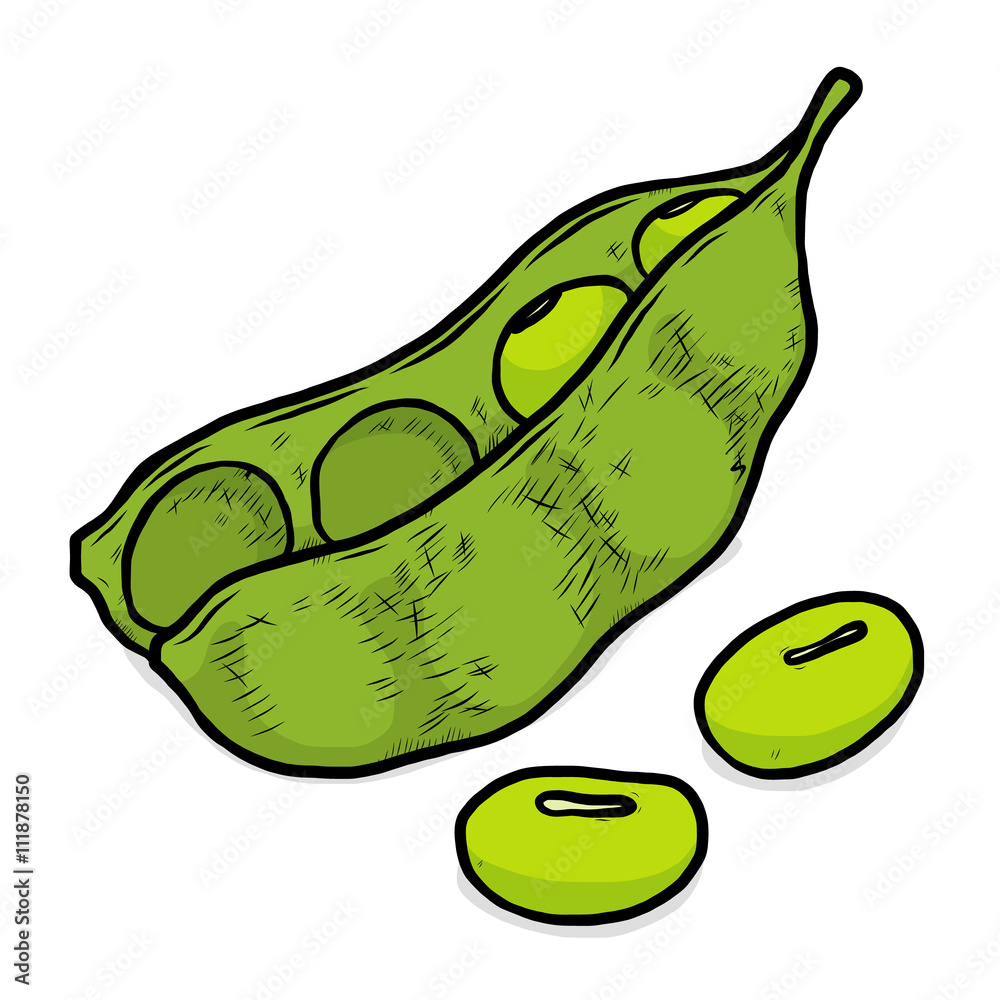 green beans / cartoon vector and illustration, hand drawn style, isolated  on white background. Stock Vector | Adobe Stock