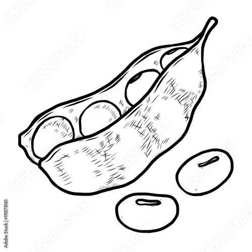 Vector Hand Drawn Sketch Vegetarian Food Stock Vector (Royalty Free)  1049105102 | Shutterstock | How to draw hands, Vector hand, Food sketch