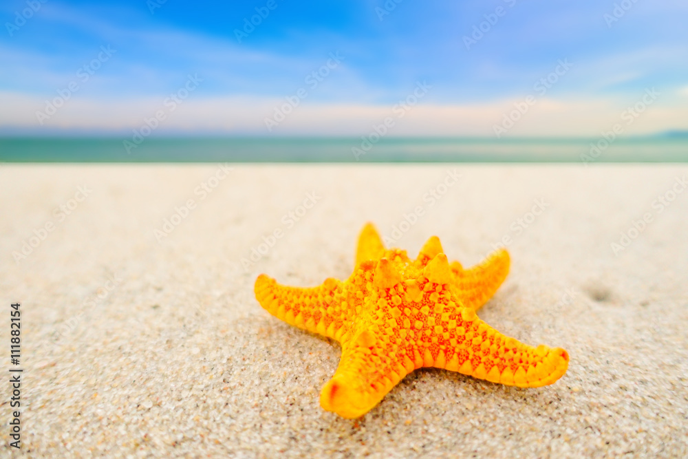 Starfish on sand at beautiful beach on sunny day, yellow starfish, starfish on nature background. Starfish on sand at beautiful beach on sunny day, yellow starfish, starfish on nature background.