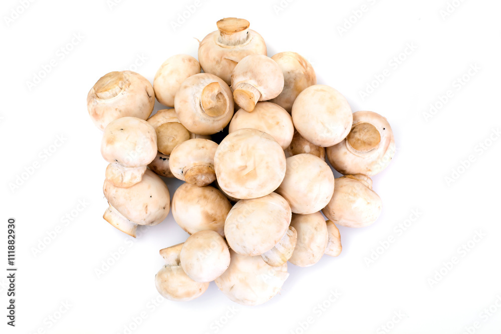 Champignons Mushroom Champignons Mushroom