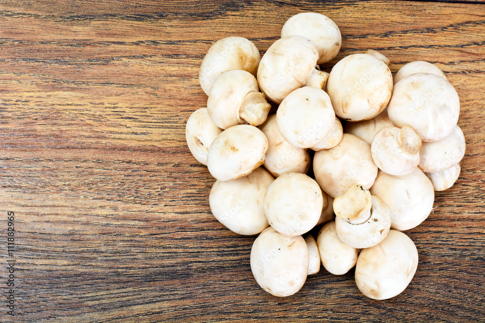 Champignons Mushroom Champignons Mushroom