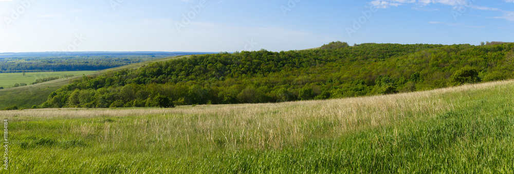 Panoramic view of the deciduous forest on the hills. 