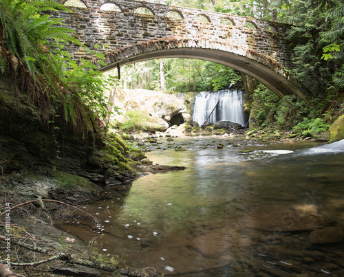 Whatcom Falls in spring photo