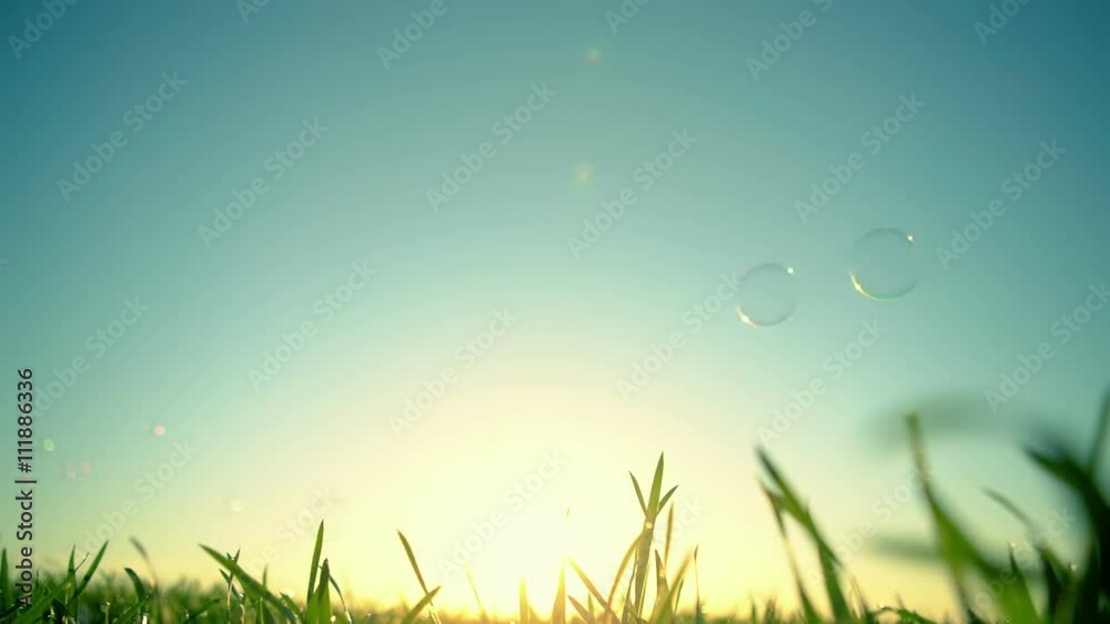Beautiful nature background with soap bubbles. RAW video record. Beautiful nature background with soap bubbles. RAW video record.
