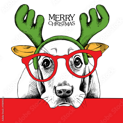 The christmas poster dog Basset Hound portrait in the mask Santa's antler reindeer and glasses. Vector illustration.