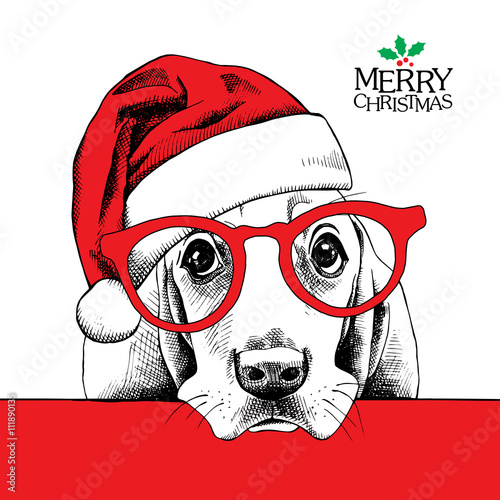 The christmas poster dog Basset Hound portrait in the Santas hat and glasses. Vector illustration.