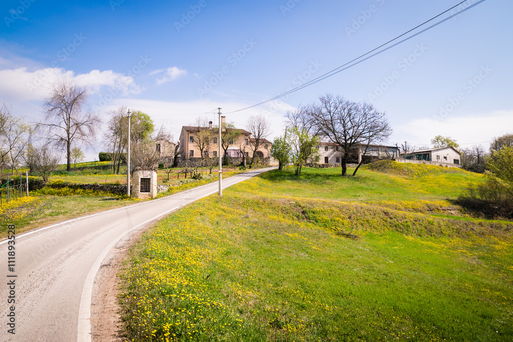 Blooming spring in the Italian hills.
