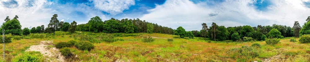 Wald und Wiese – Panorama einer sommerlichen Landschaft Wald und Wiese – Panorama einer sommerlichen Landschaft