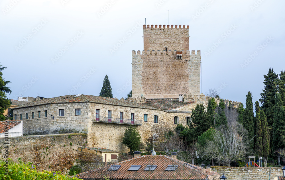 Castle in Ciudad Rodrigo Spain