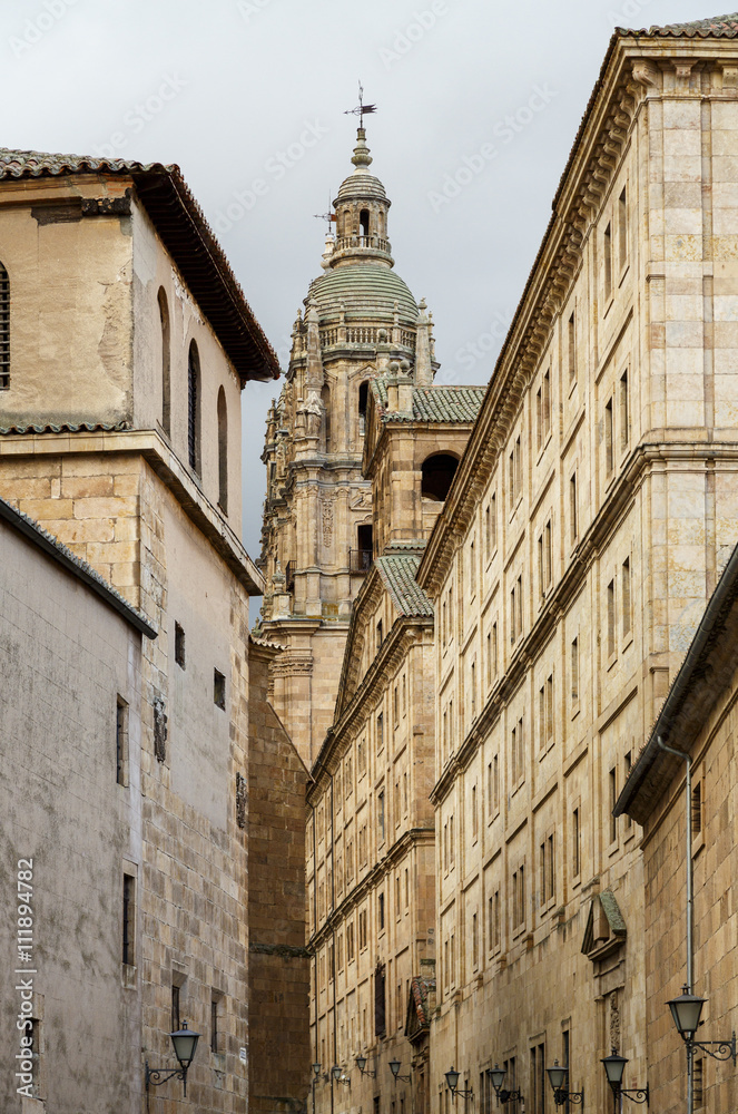 Cathedral and monuments of Salamanca