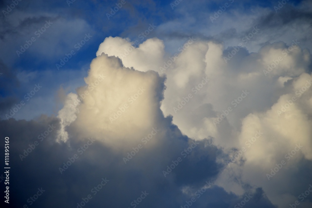Obraz premium 青空の雲