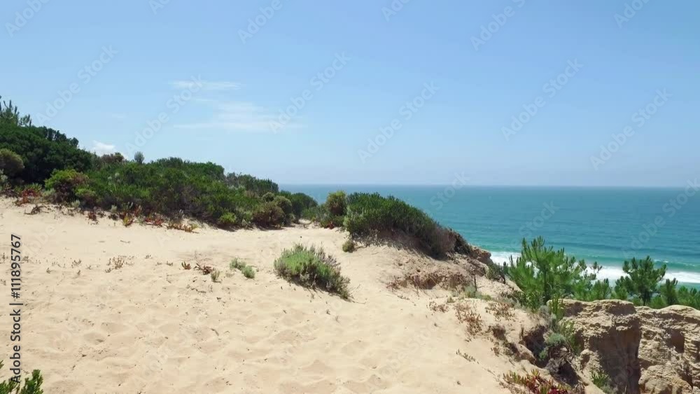 Walk Through Wooded Hills near Shore Ocean Walk Through Wooded Hills near Shore Ocean