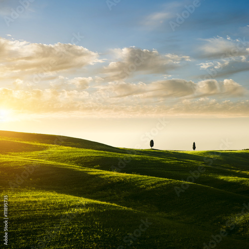 Typical Tuscan landscape. Green meadow with cypress trees on horizon in sunset. Magical Tuscany. © VOJTa Herout