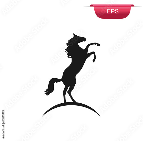 Black rearing horse, vector illustration
