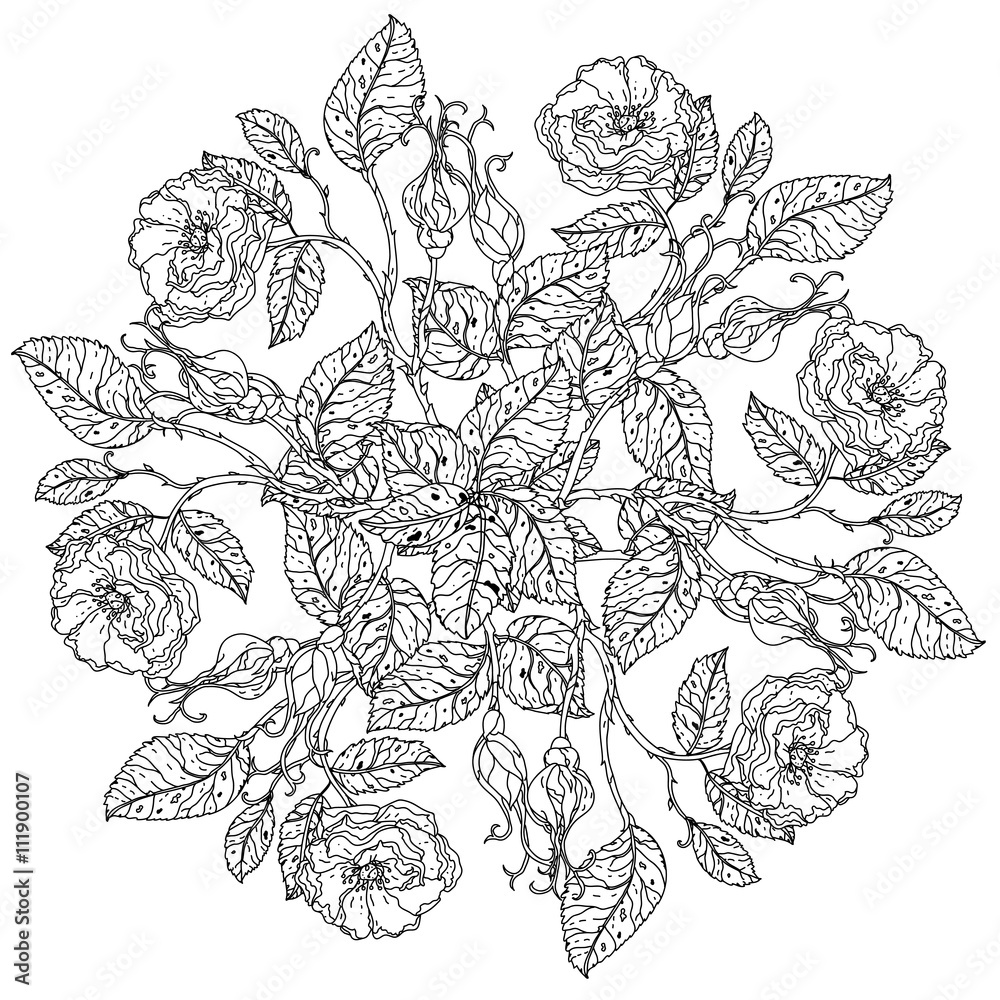still life coloring book antistress style