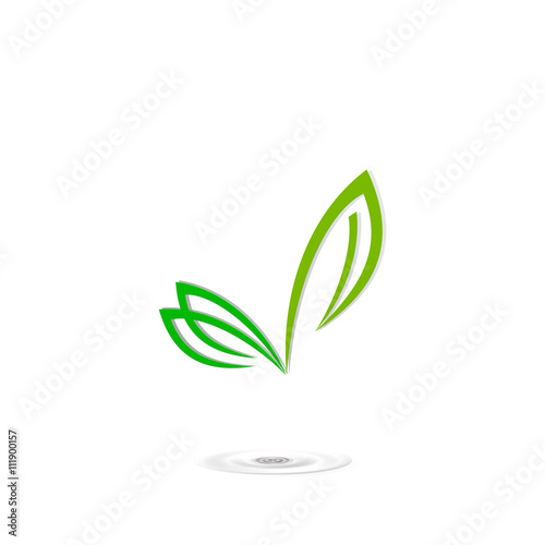 logo leaf green, icon butterfly