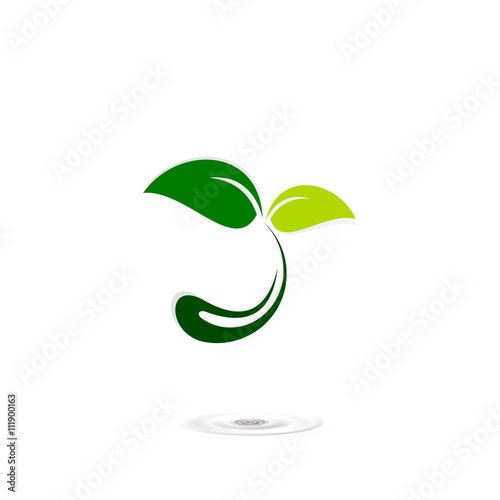 logo leaf green icon