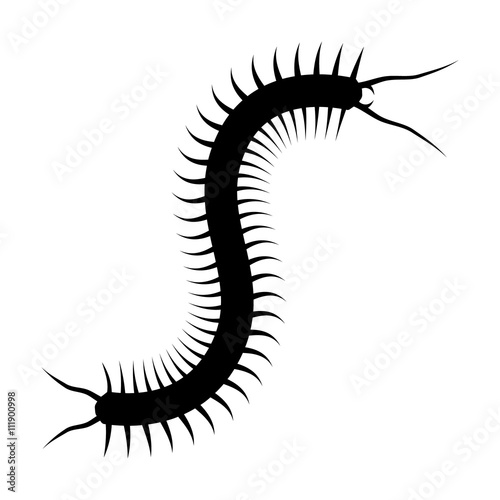 Billede på lærred Centipede flat icon for nature apps and websites