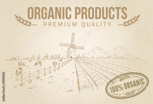 Hand drawn of cows and rice field with text organic products
