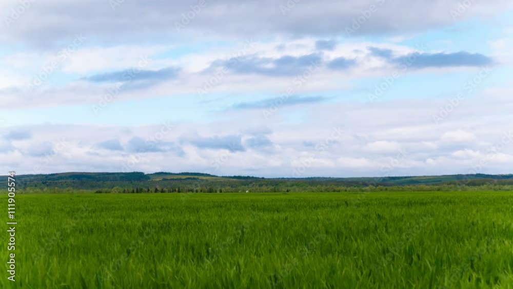 4K .Green bright spring grass and clouds. Time lapse without birds. 4K .Green bright spring grass and clouds. Time lapse without birds.