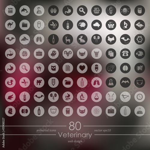 Set of veterinary icons